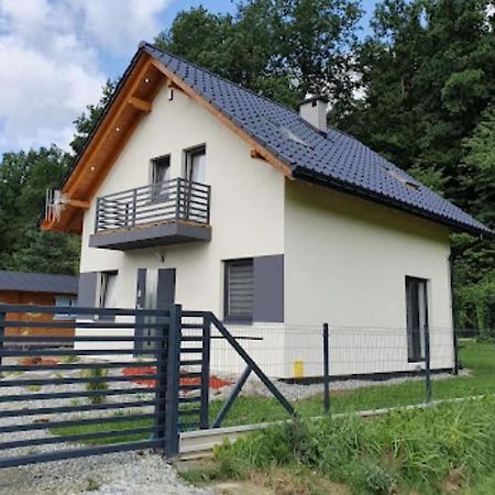 Leniowka Lägenhet Ponikiew  Exteriör bild